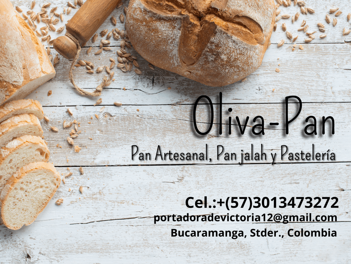 OLIVA PAN