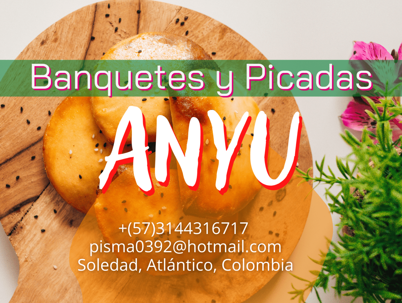 BANQUETES Y PICADAS ANYU