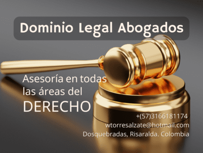 DOMINO LEGAL ABOGADOS