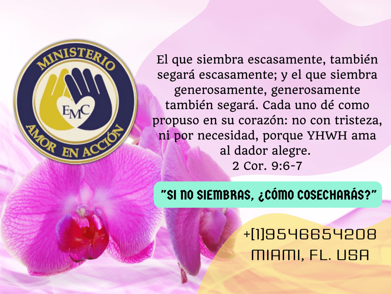 MINISTERIO AMOR EN ACCIÓN - EMC SHALOM INTERNACIONAL